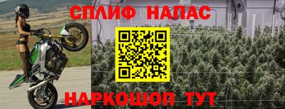 гашик Кулебаки