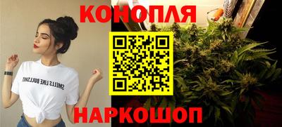 гашик Кулебаки