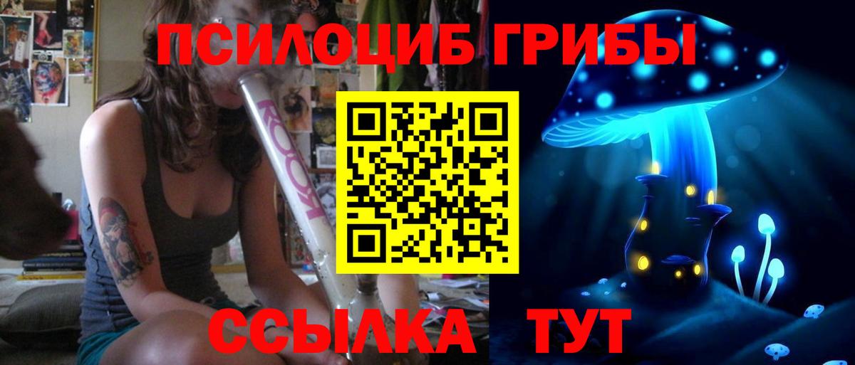 где можно купить   Вход с VPN  Хасавюрт  Галлюциногенные грибы MAGIC MUSHROOMS  Галлюциногенные грибы Magic Shrooms 