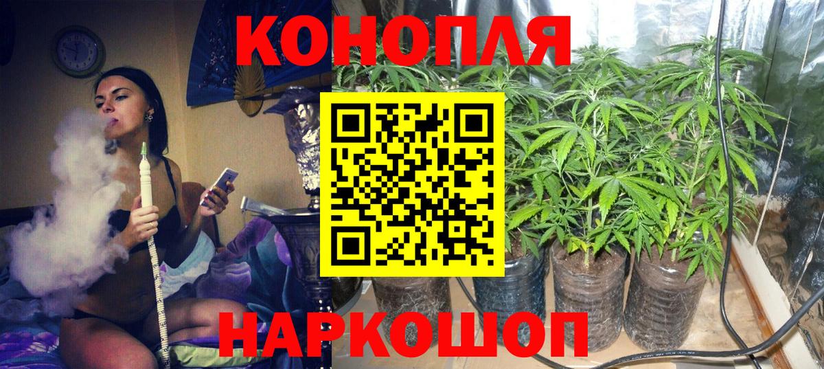 МАРИХУАНА семена  МАРИХУАНА конопля  Хасавюрт  Канабис OG Kush  Вход с VPN 